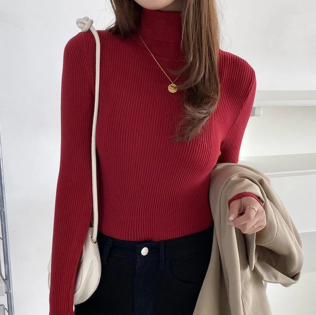 Turtleneck Sweater Knitted