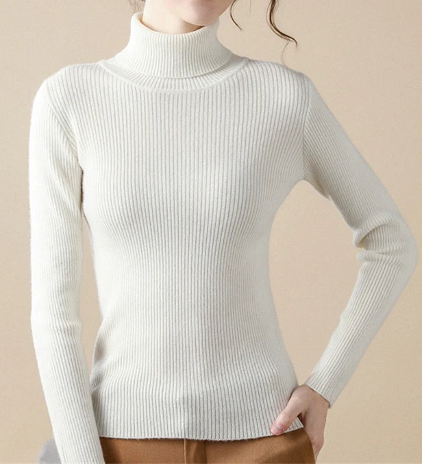 Turtleneck Sweater Knitted