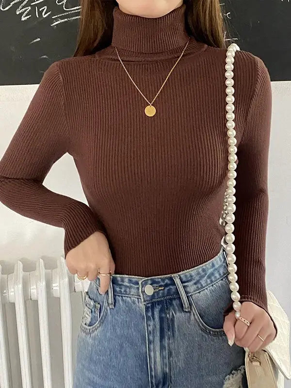 Turtleneck Sweater Knitted