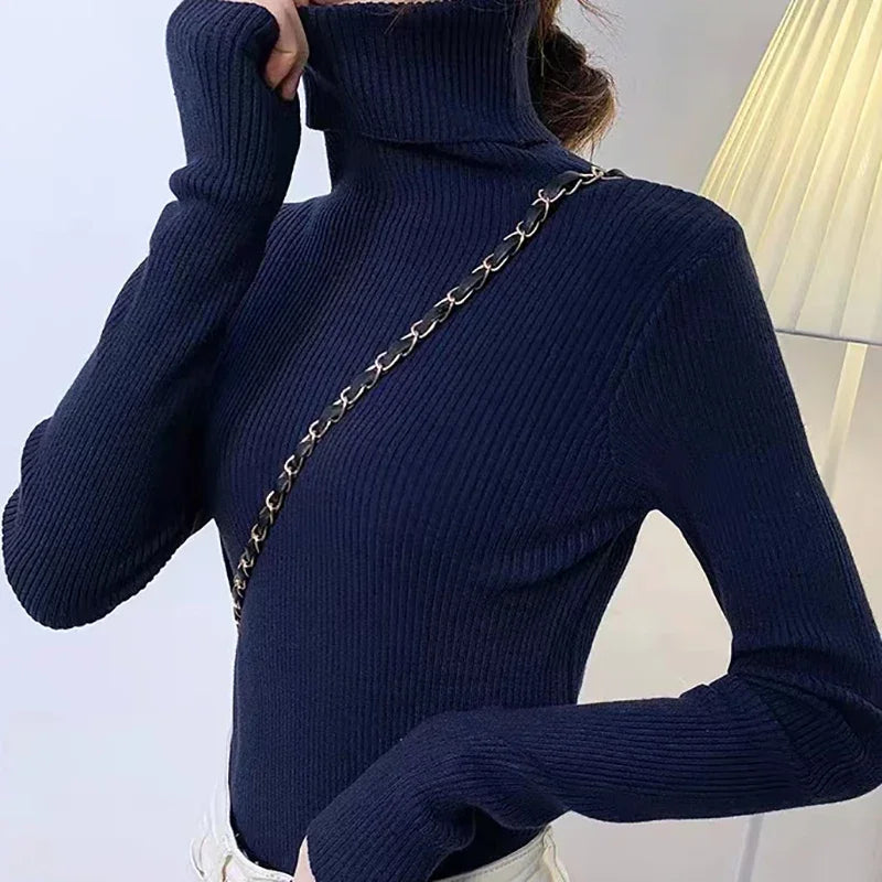 Turtleneck Sweater Knitted