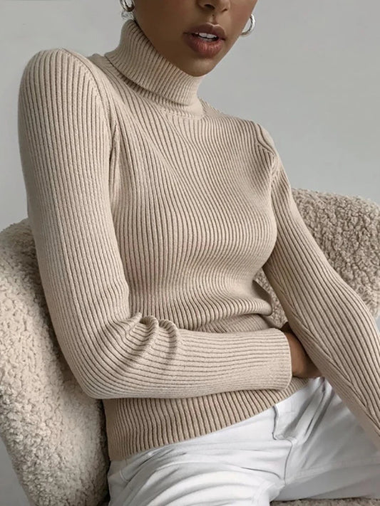 Turtleneck Sweater Knitted