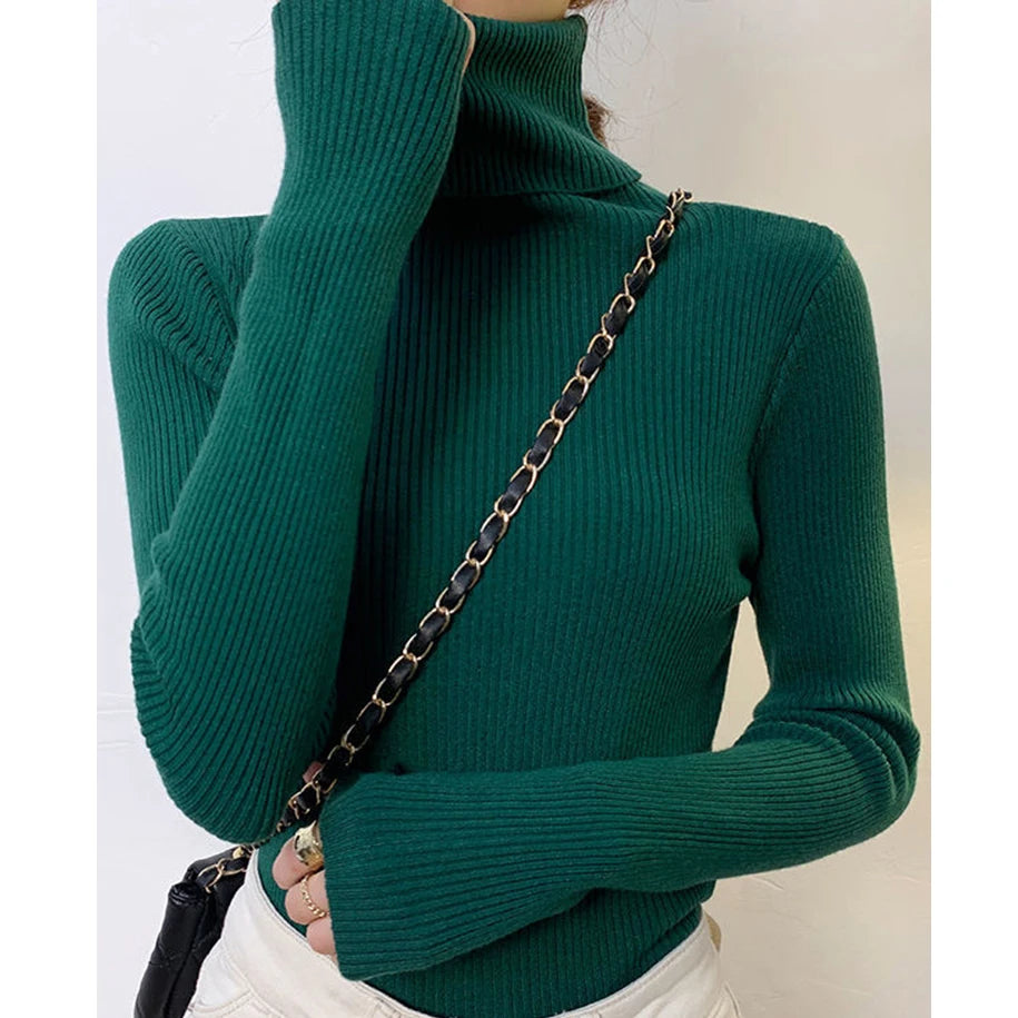 Turtleneck Sweater Knitted