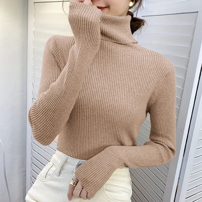 Turtleneck Sweater Knitted