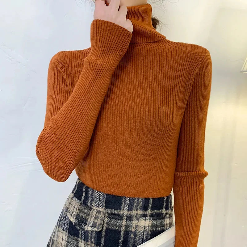 Turtleneck Sweater Knitted