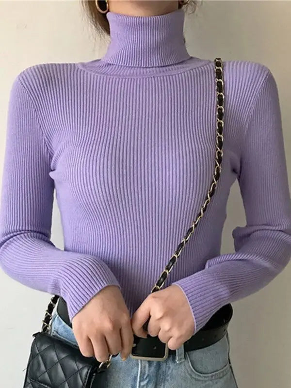 Turtleneck Sweater Knitted