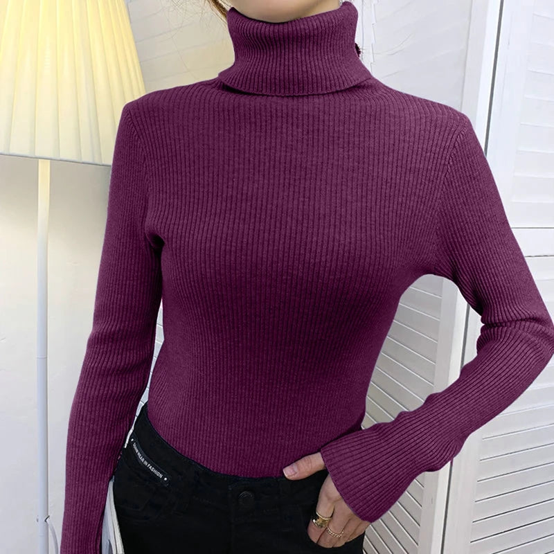 Turtleneck Sweater Knitted