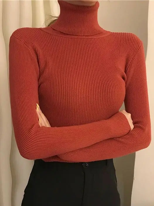 Turtleneck Sweater Knitted