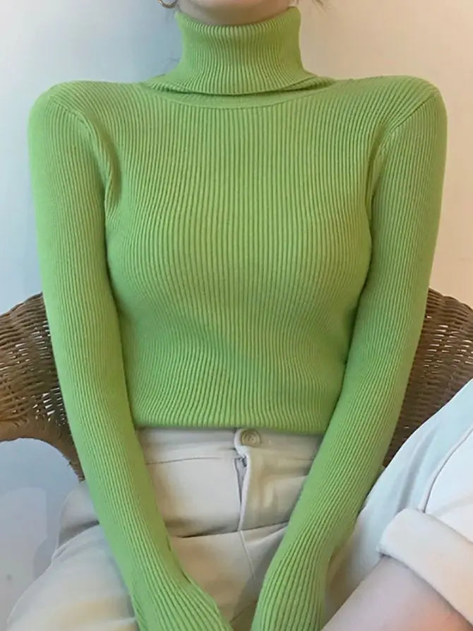 Turtleneck Sweater Knitted