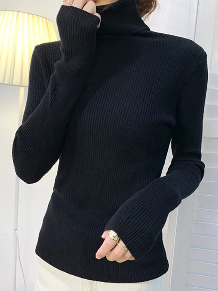 Turtleneck Sweater Knitted